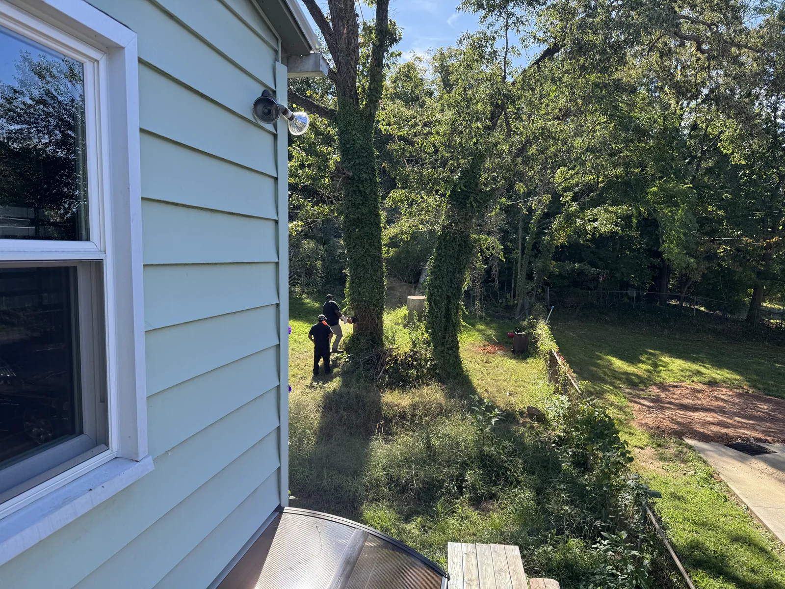 Tree service work