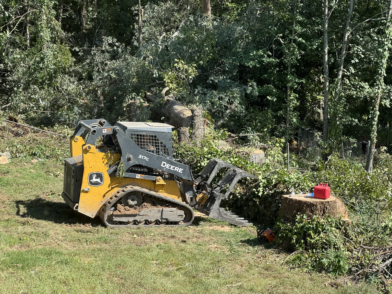Tree trimming