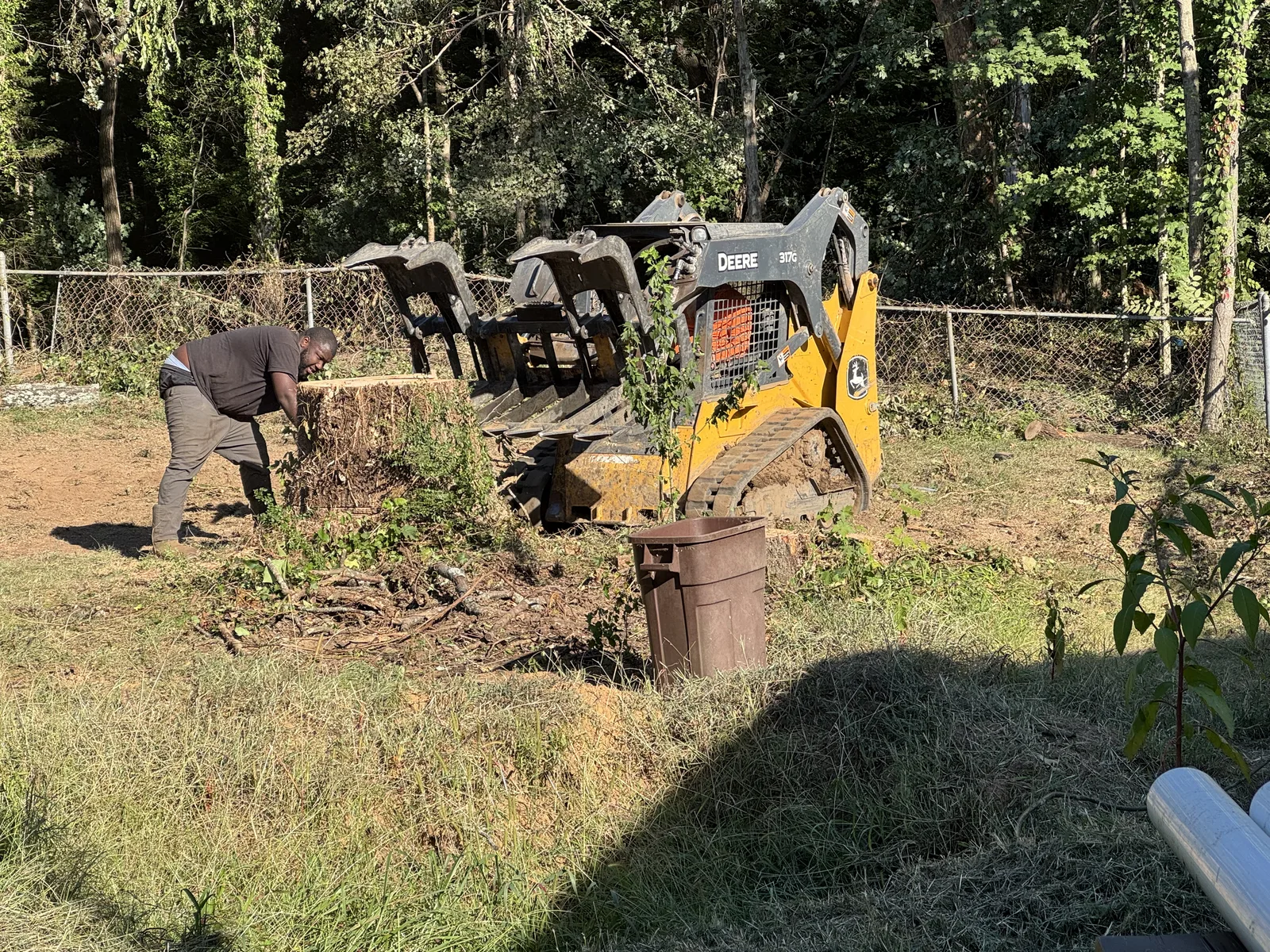 Tree maintenance